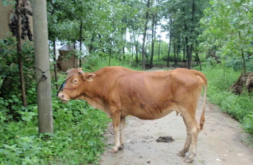 云南最新求一个套医保卡的黄牛是真的吗方法分析(最方便真实的云南求一个套医保卡的黄牛是真的吗还是假的方法)